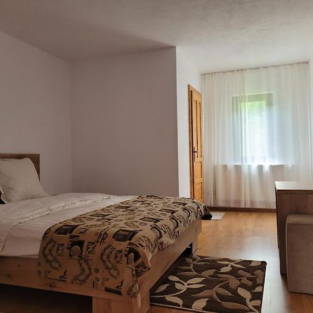 Vadu Moţilor Casa Ursuluiヴィラ エクステリア 写真