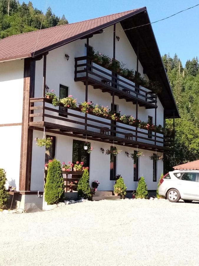 Vadu Moţilor Casa Ursuluiヴィラ エクステリア 写真