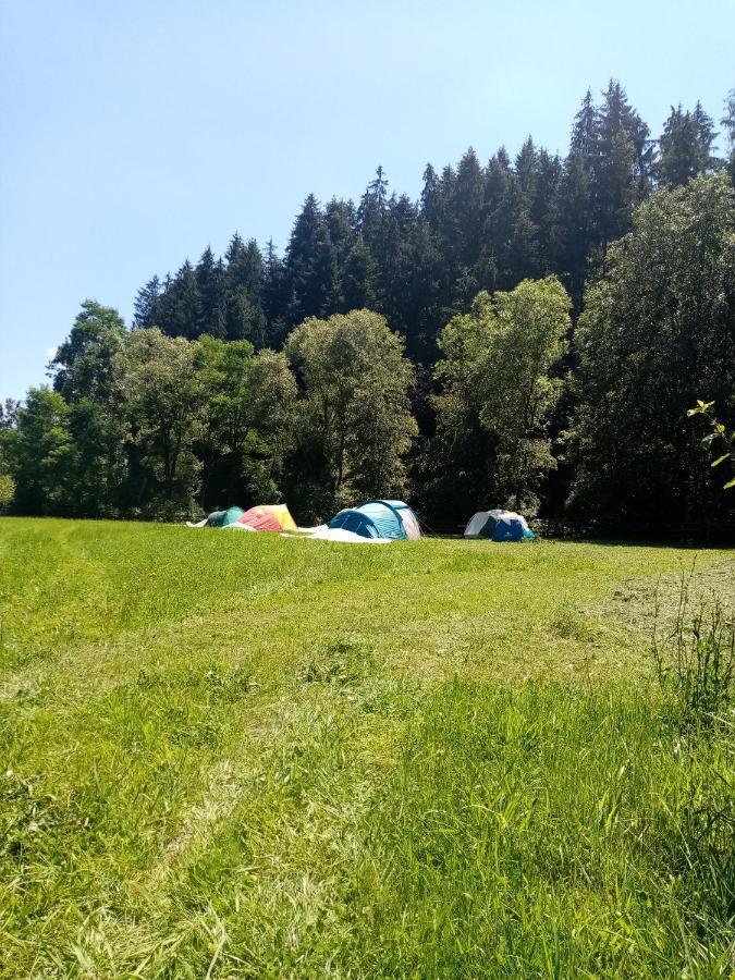 Vadu Moţilor Casa Ursuluiヴィラ エクステリア 写真