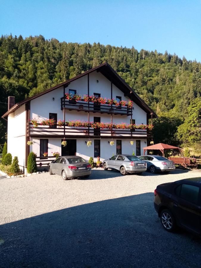 Vadu Moţilor Casa Ursuluiヴィラ エクステリア 写真