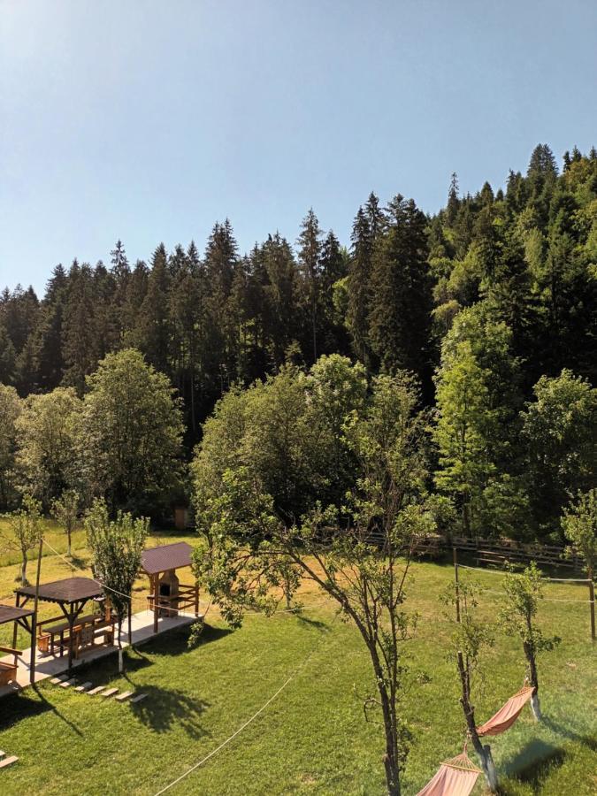Vadu Moţilor Casa Ursuluiヴィラ エクステリア 写真