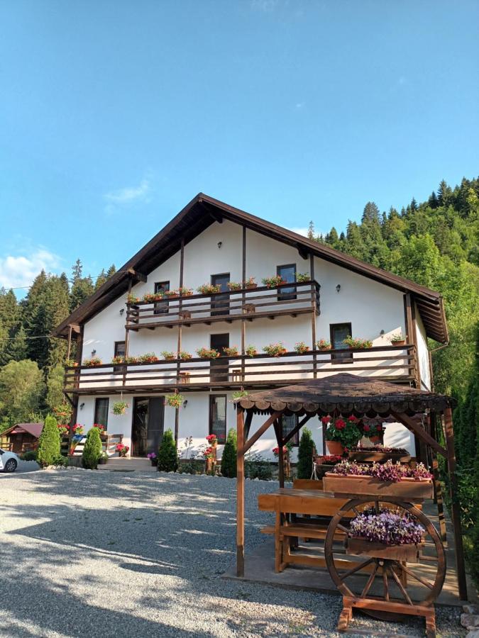 Vadu Moţilor Casa Ursuluiヴィラ エクステリア 写真