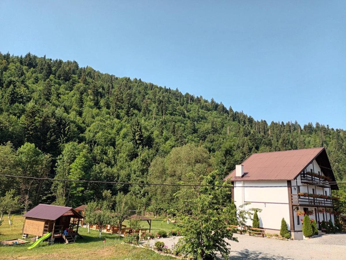 Vadu Moţilor Casa Ursuluiヴィラ エクステリア 写真