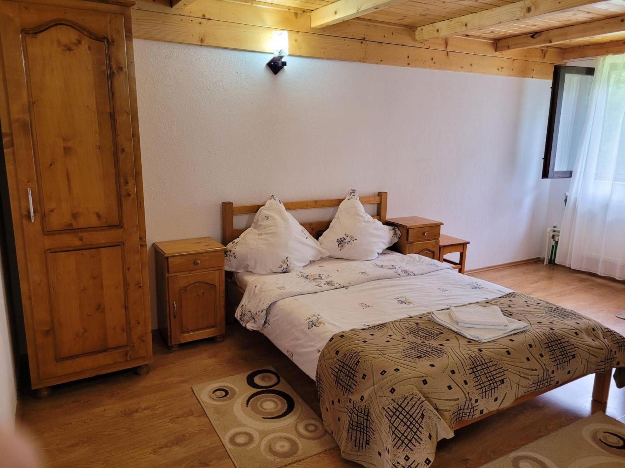 Vadu Moţilor Casa Ursuluiヴィラ エクステリア 写真