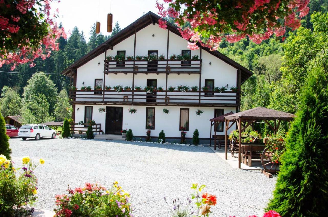 Vadu Moţilor Casa Ursuluiヴィラ エクステリア 写真