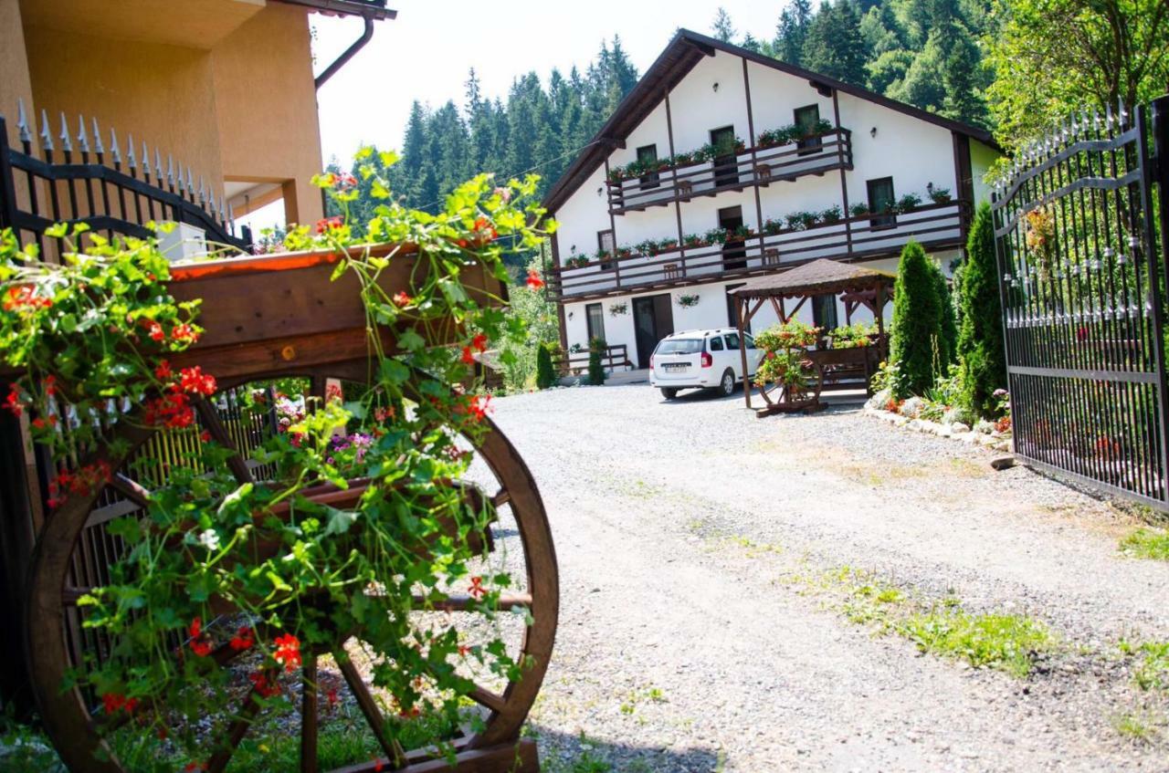 Vadu Moţilor Casa Ursuluiヴィラ エクステリア 写真